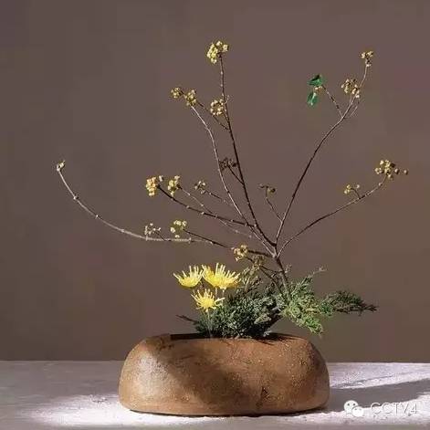 看我无情对，让你没话说