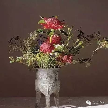 看我无情对，让你没话说