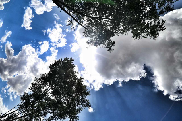 走近2016鄂尔多斯高考状元爆料独家学习秘籍!