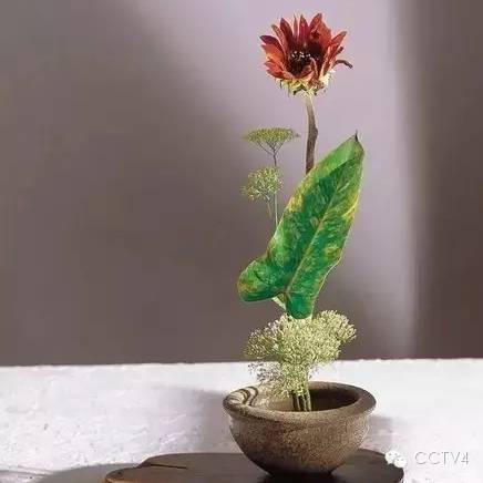 看我无情对，让你没话说