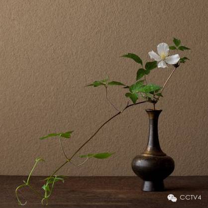 看我无情对，让你没话说