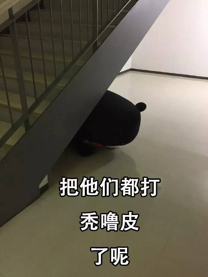 曾经的反恐行动,反恐行动全过程