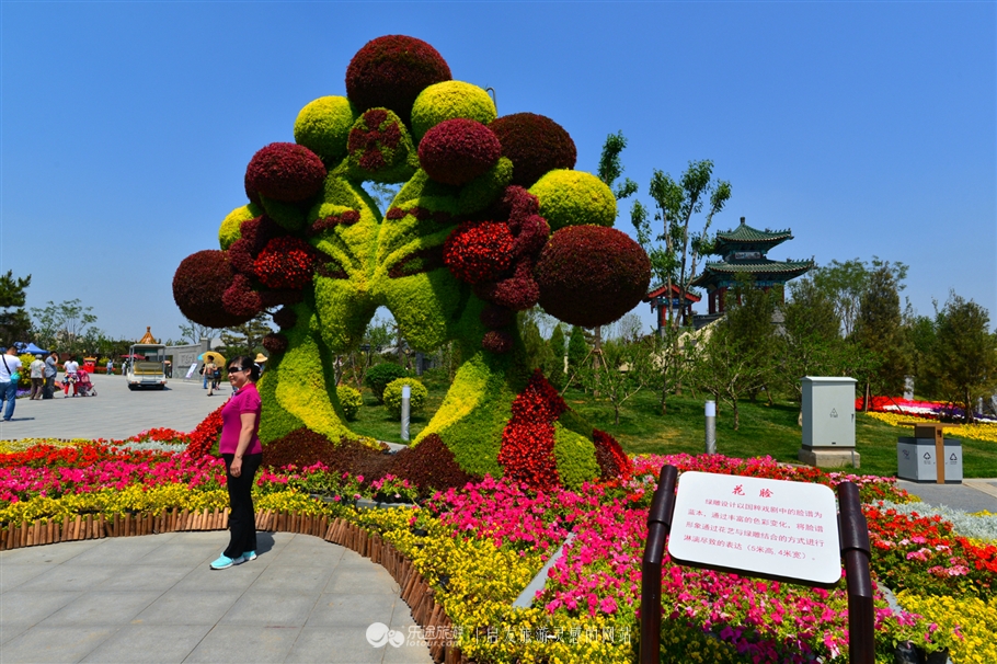 你不曾见过的风景,你不曾见过的风景完整版