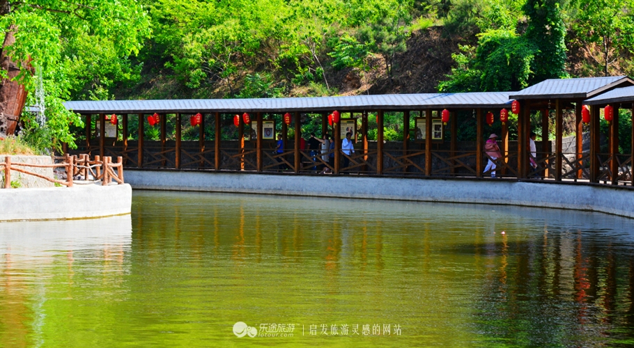 你不曾见过的风景,你不曾见过的风景完整版