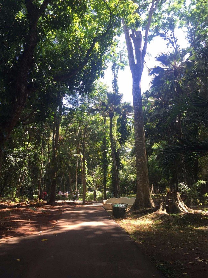 毛里求斯豪华游旅游攻略,浪漫的巴厘岛之旅