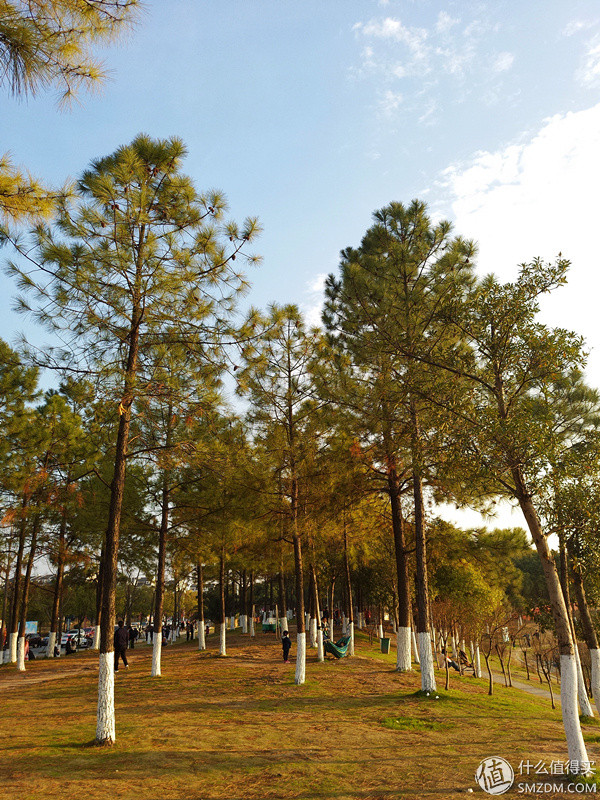 美图v4s手机,美图v4手机怎么样