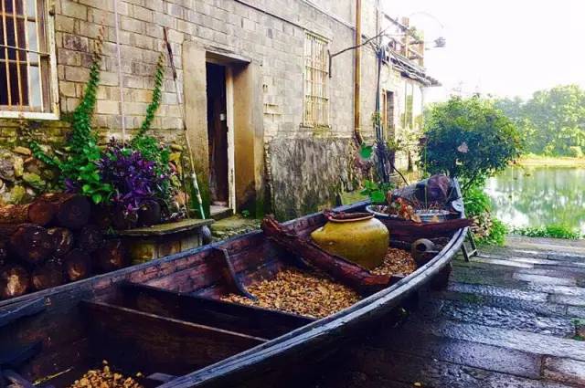 东南第一山私藏浙南最美的风情,浙江山林美宿攻略