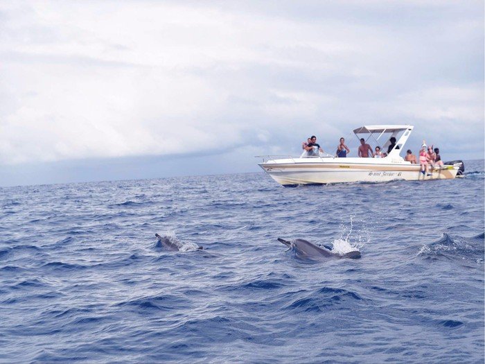 毛里求斯豪华游旅游攻略,浪漫的巴厘岛之旅