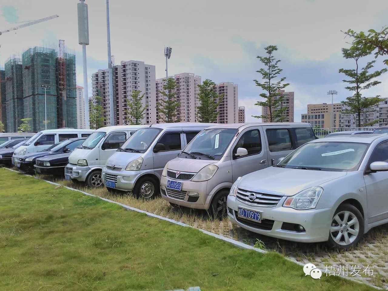 公车网上拍卖技巧,公车拍卖在哪个网查询