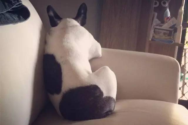 激萌祛痘了怎么恢复,激萌正确使用法