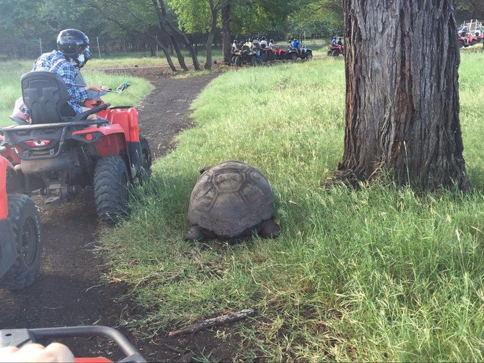 毛里求斯豪华游旅游攻略,浪漫的巴厘岛之旅