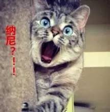 信乐团居然成了他们的“徒弟”？｜21：20《美丽乡村音乐课堂》