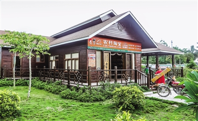 在那花儿盛开的地方,玉兰花盛开的地方