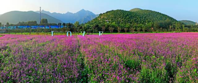 房山田园风情农业园,房山农业园