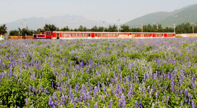 房山田园风情农业园,房山农业园