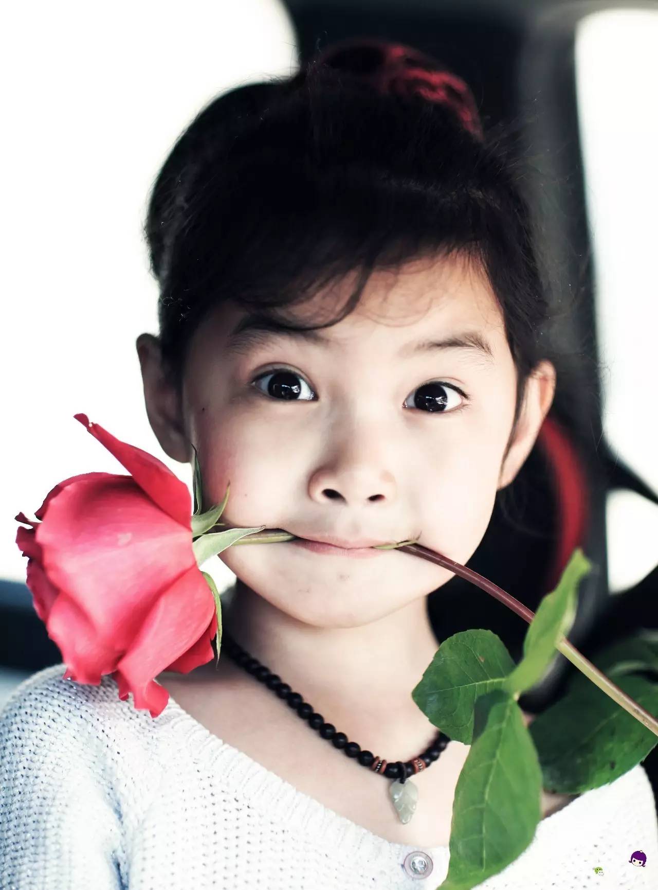 房车小公主环球旅行日记,房车小公主的环球旅行