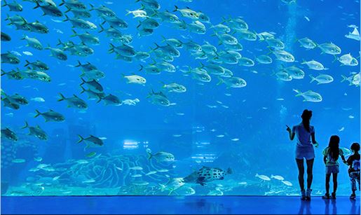 带小孩珠海长隆海洋王国攻略最新,暑假母子俩游览珠海长隆海洋世界