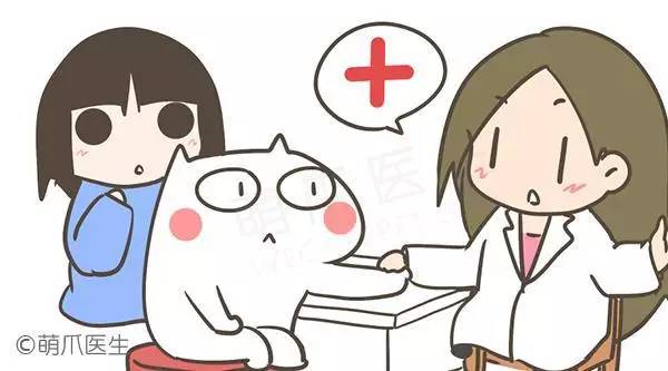 宠物疫苗打了有鼓包,宠物医院打完疫苗皮肤秃了