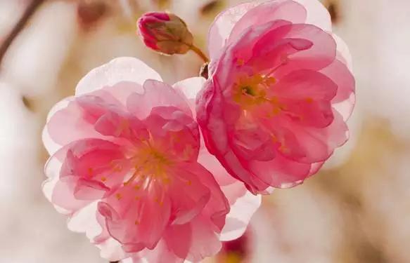 吃完这100种美食、看过这100种风景,可能再也离不开太仓!