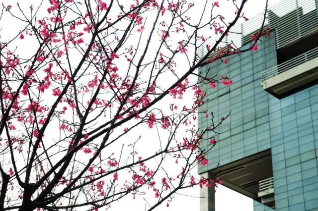 美术生考广东工业大学难吗,为什么这么多人支持广东工业大学