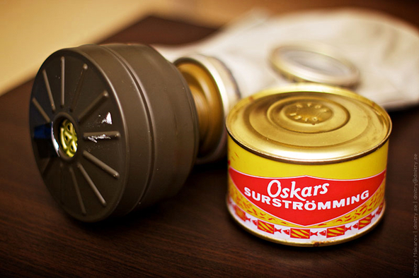 餐桌物种日历|4月20日大西洋鲱