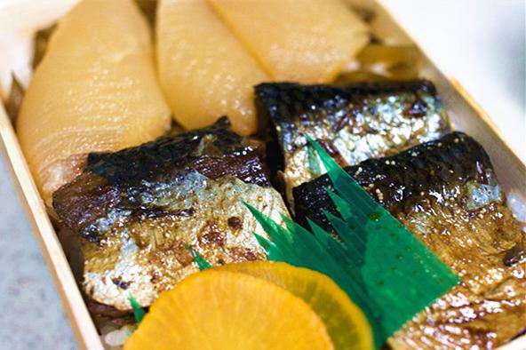 餐桌物种日历|4月20日大西洋鲱