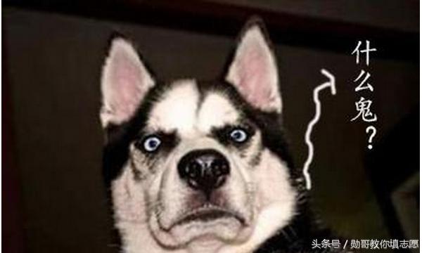 记忆力差怎么学法学,记忆力一般能学医吗