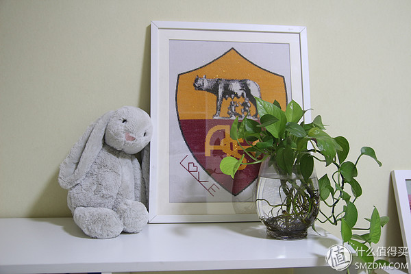 看欧洲杯的球迷,看爽