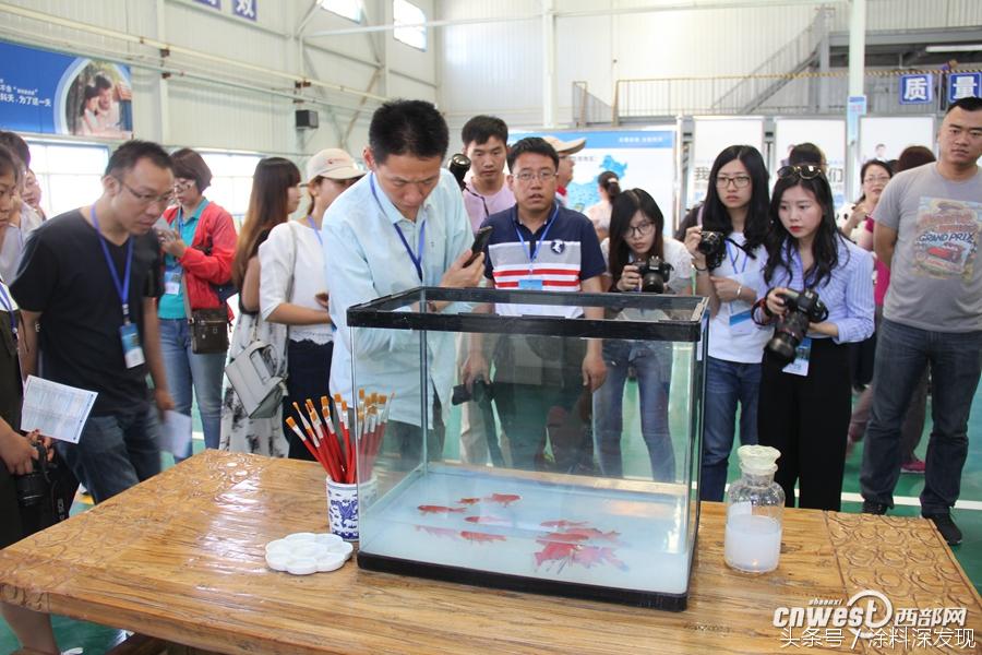 防水涂料养鱼,金鱼涂料是环保的吗