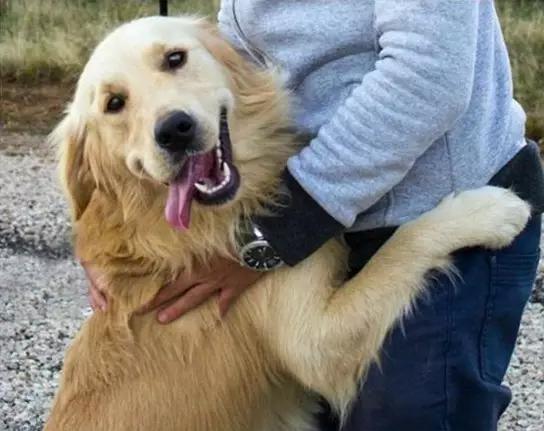 尊重狗,就让它像狗一样的生活!