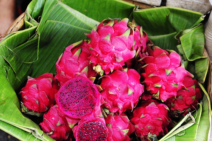 柬埔寨浙江台州小吃 (柬埔寨街边小吃摊位)