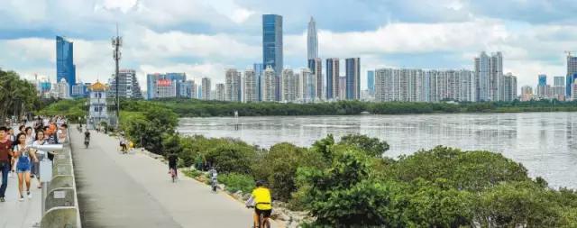 还你一个五星级的深圳湾！水质变清，小鱼小虾都回来啦