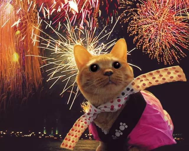 日本夏日的浪漫花火大会,日本夏日花火大会攻略