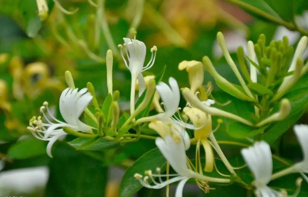 夏季感冒怎么办,预防夏季感冒