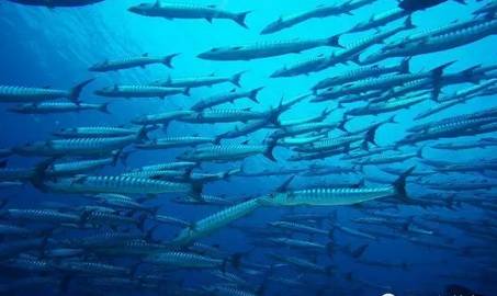 虽然你穷但是什么都懂,虽然你穷但是我爱你