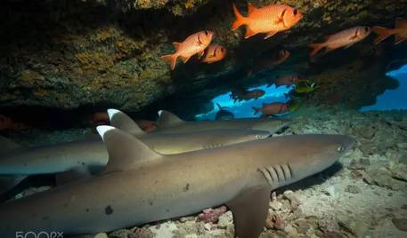 虽然你穷但是什么都懂,虽然你穷但是我爱你