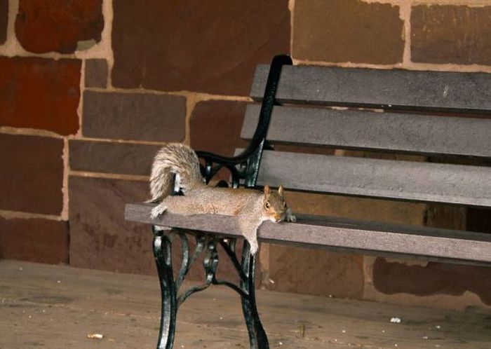 [囧图]大家都是装的，只有我是真正的咸鱼