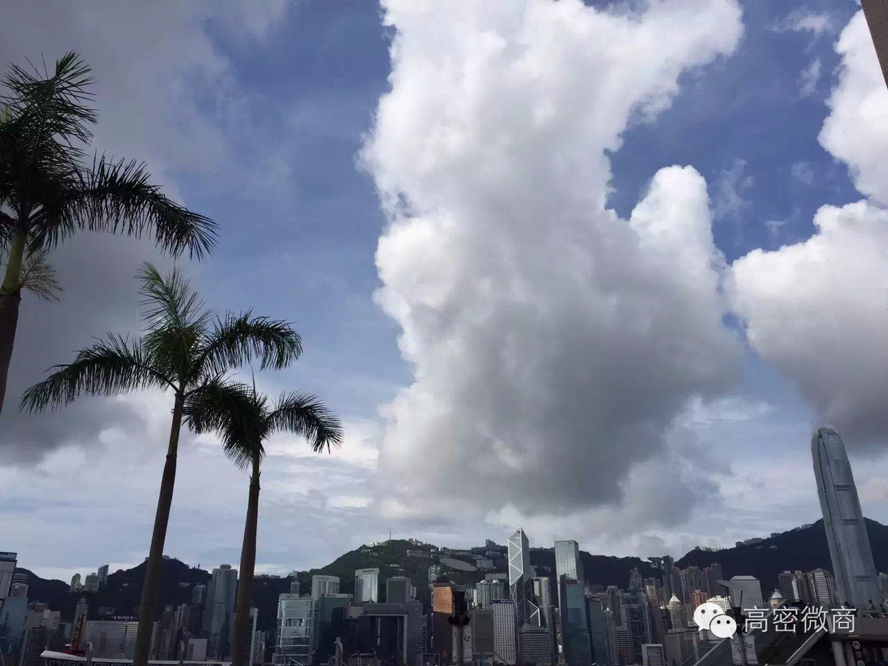 亲身体验｜香港自由行怎么吃喝玩乐游购娱？