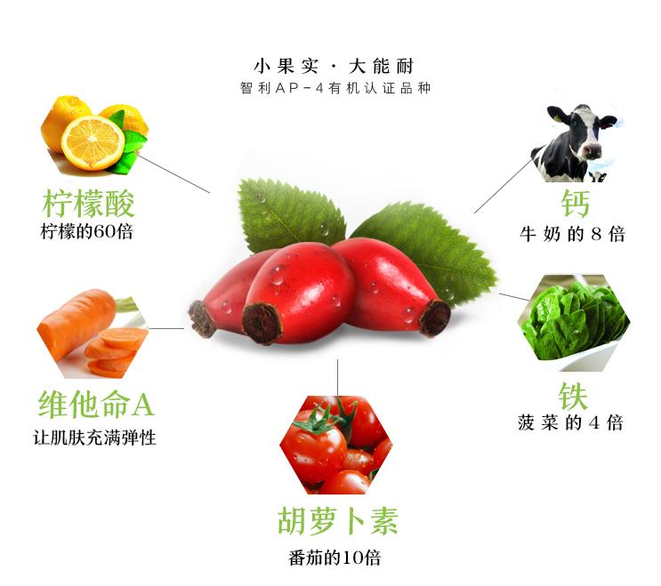 试用报告|比阿芙玫瑰精油更好用的coesam玫瑰果油