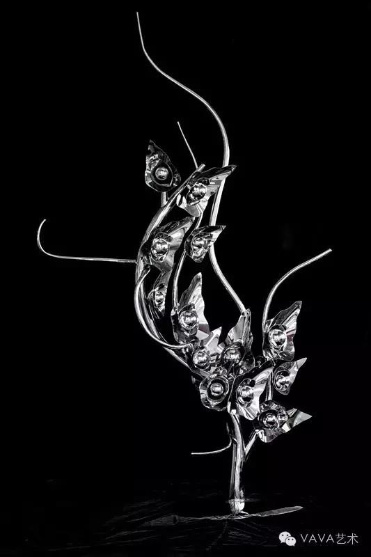 音乐家LisbethScott:通过音乐讲述树的故事