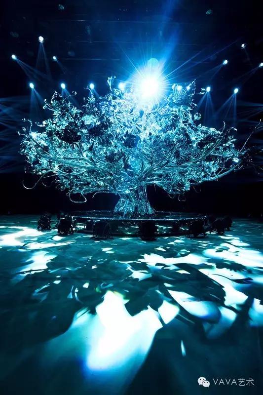 音乐家LisbethScott:通过音乐讲述树的故事