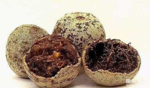 盘点6种奇葩水果,别看这6种奇葩水果长相怪异