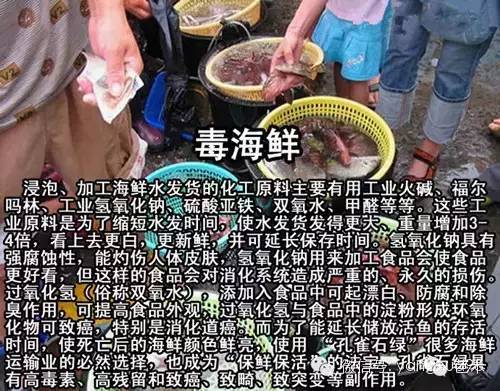 地沟油吃起来和正常油有什么区别,食用油和地沟油有什么区别