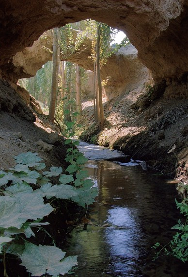 吐鲁番有哪些全国之最,吐鲁番葡萄沟景区导游词中国之最