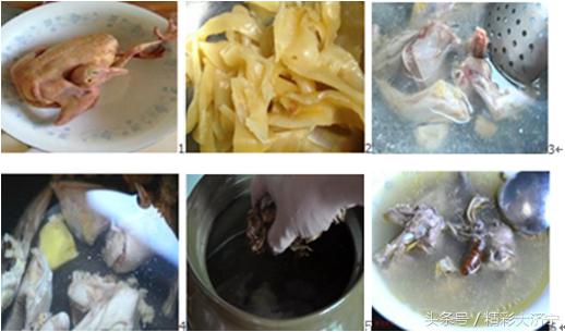 金蝉花和冬虫夏草哪个作用强,冬虫夏草和金蝉花有什么关系