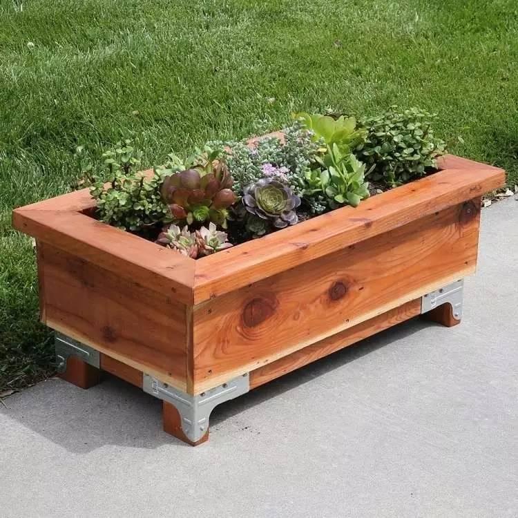 各种花盆搭配什么绿植,适合搭配装饰花盆的小植物