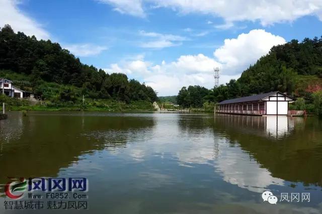 发现凤冈｜进化镇九龙观光栈道