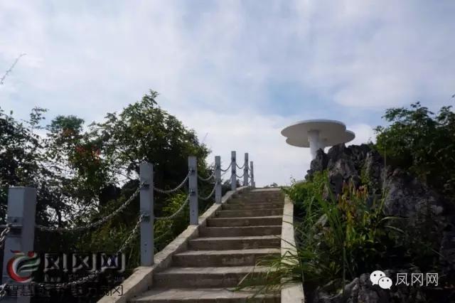 发现凤冈｜进化镇九龙观光栈道