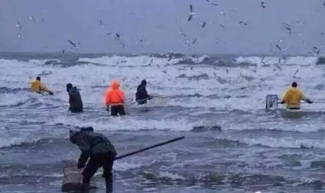 真正的蜜蜡是啥样的,蜜蜡这种东西你真的懂吗