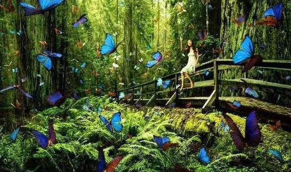 太原投资2000万风情文化节!引来50万只萤火虫!20万只蝴